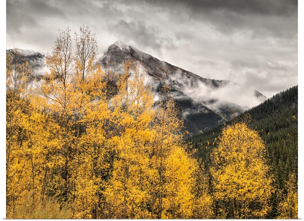 USA, Colorado, Silverton, Clearing storm and fall color on the Alpine Loop