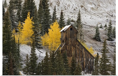 Colorado, Uncompahgre National Forest, An abandoned mine structure