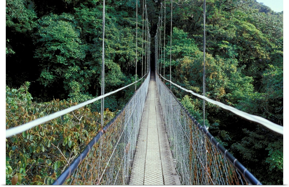Central America, Costa Rica, Monteverde Cloud Forest. Suspension Bridge along Sky Walk.