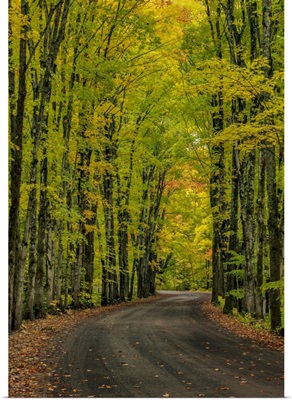 Covered Road Near Houghton In The Upper Peninsula Of Michigan, USA