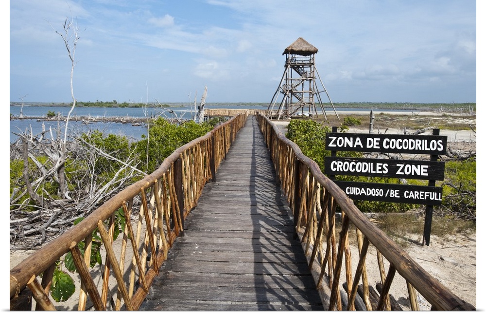 Mexico, Cozumel. Crocodile lagoon in Punta Sur Park, Isla de Cozumel (Cozumel Island).