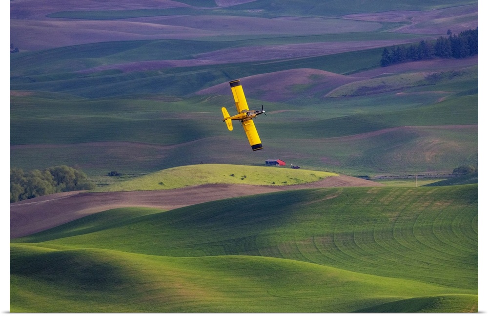 Crop duster applying chemicals on wheat fields from Steptoe Butte near Colfax, Washington State, USA.