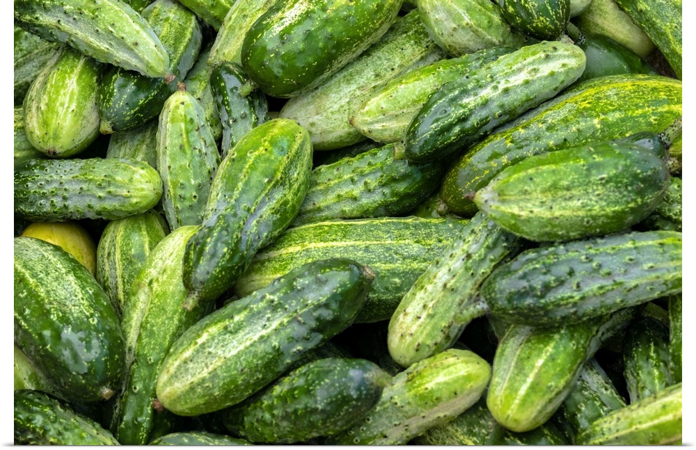 Cucumbers, USA