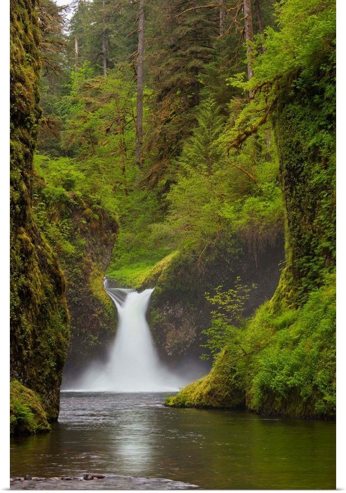 USA, Eagle Creek, Columbia Gorge, Oregon. Punchbowl Falls on Eagle Creek.