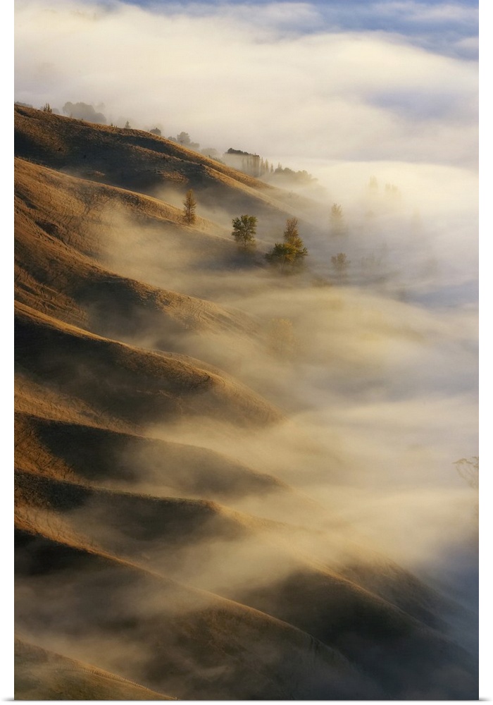 View from Te Mata Peak and Early Morning Mist along Ridgelines, Hawkes Bay, North Island, New Zealand