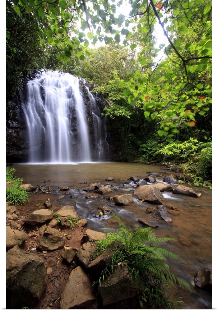 Ellinjaa Falls,  Waterfall Circuit, Palmerston Highway, Atherton Tablelands, Queensland, Australia.