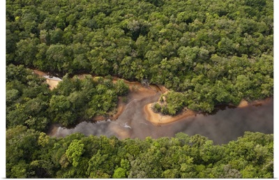 Essequibo River, Iwokrama Reserve, Guyana