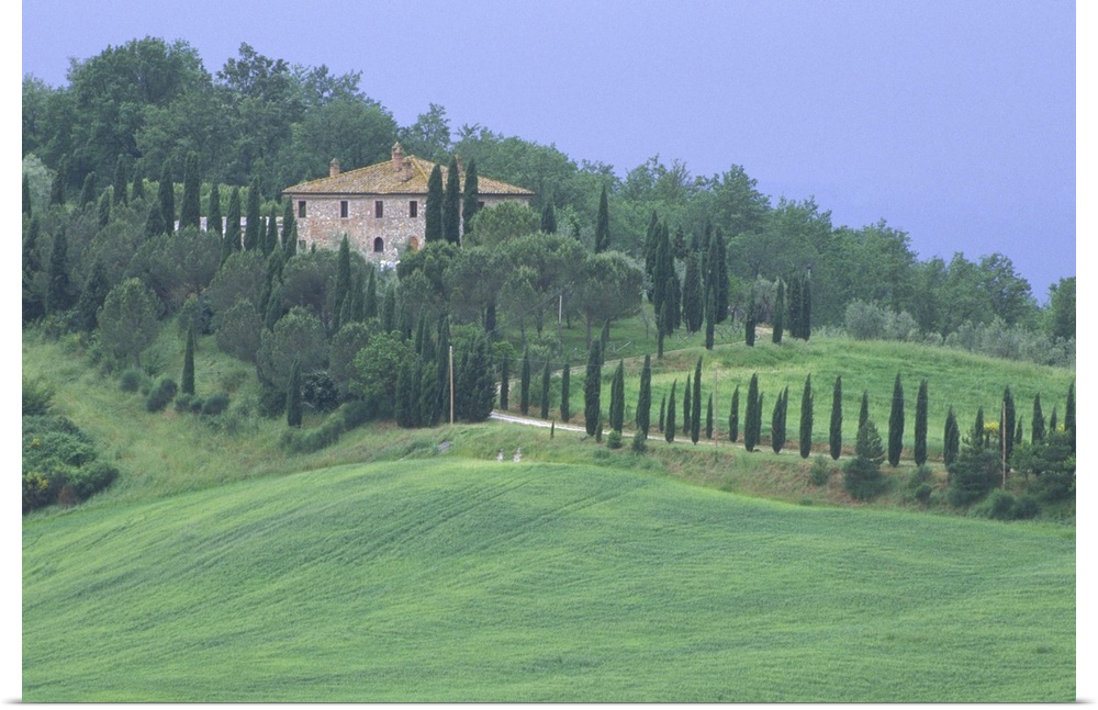 Europe, Italy, Tuscany.  Villa on tree lined hillside in Tuscany.