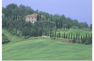 Europe, Italy, Tuscany. Villa on tree lined hillside in Tuscany