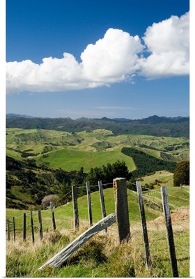 Farmland near Martinborough, Wairarapa, North Island, New Zealand