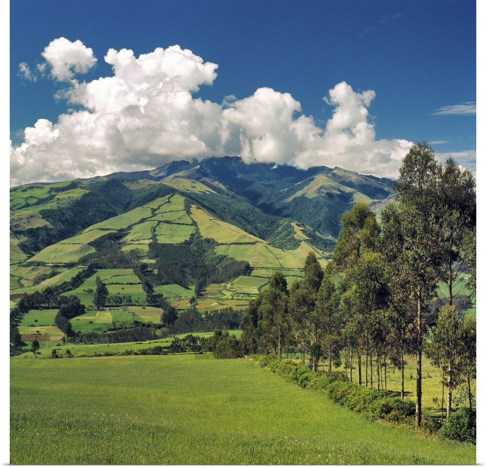 South America, Ecuador, Otavalo. Fertile fields dot the hillsides in the Central Highlands near Otavalo in Ecuador.