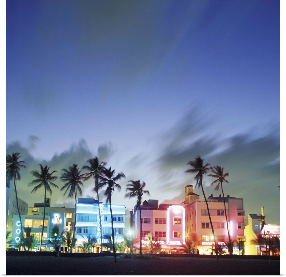 N.A., USA, Florida, Miami, South Beach. Art Deco architecture and palm trees along the strip (Medium Format)