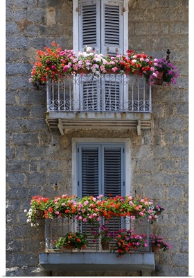 France, Corsica, Flower Boxes On Window Balconies, House In Sartene