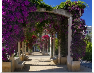 France, Corsica, Flowers In Bloom On Arbors Above Walkway At Place De Gaulle, Ajaccio
