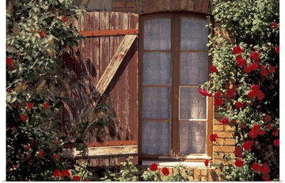 France, Provence, Vaucluse, Apt, House With Summer Roses