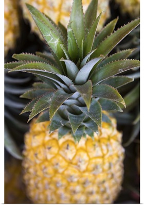 France, Reunion Island, St. Paul, Seafront Market, Pineapples