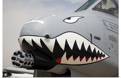 Front of an A-10 Thunderbolt II warplane painted with a shark face