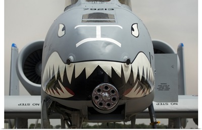 Front of an A-10 Thunderbolt II warplane painted with a shark face