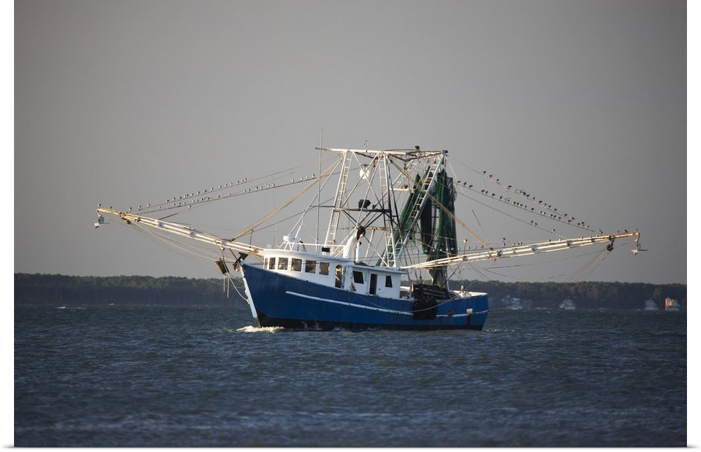 USA, Georgia, Savannah, Shrimp boat along the coast.