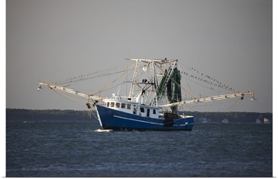 Georgia, Savannah, Shrimp boat along the coast