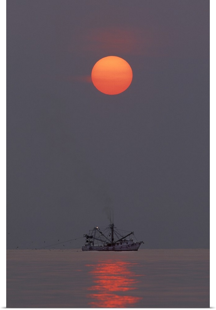 USA, North America, Georgia, Tybee Island. A shrimp boat trawling for shrimp at sunrise.