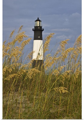 Georgia, Tybee Island, Lighthouse and seaoats in early moring
