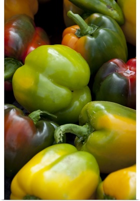 Germany, Passau, Open-air farmer's market, Colorful sweet bell peppers
