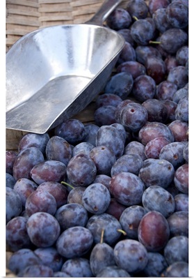 Germany, Passau, Open-air farmer's market, ripe plums with scoop