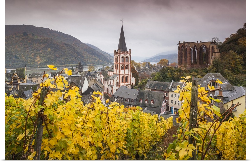 Germany, Rhineland-Pfalz, Bacharach, elevated town view in autumn.