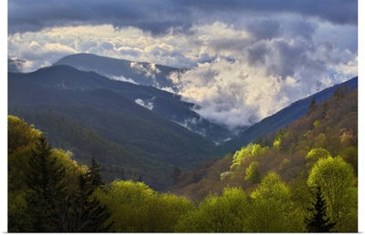 Great Smoky Mountains National Park, North Carolina