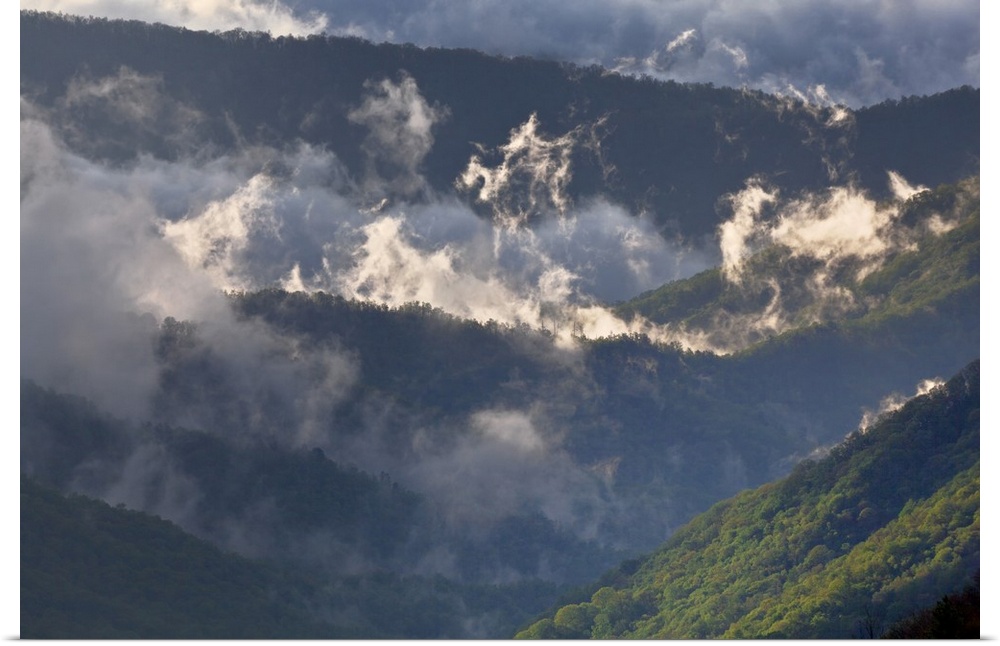 Clouds in Oconaluftee Valley at sunrise, Great Smoky Mountains National Park, North Carolina