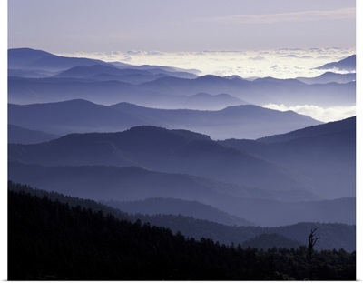 Great Smoky Mountains National Park, Southern Appalachian Mountains at dawn