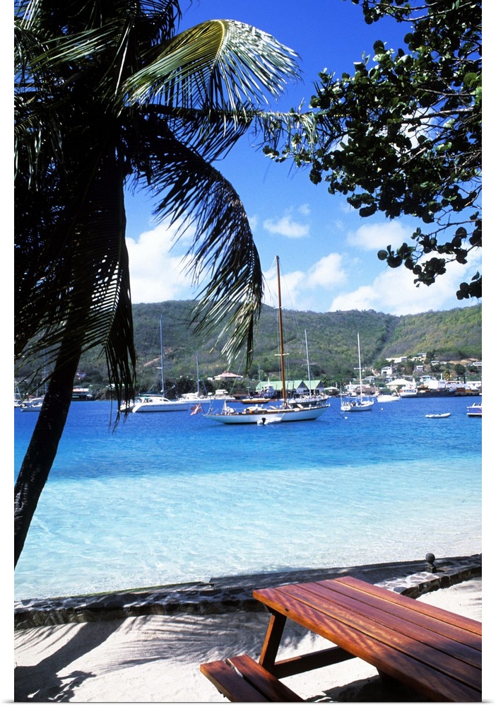 Harbor, palms, blue water at Port Elizabeth in Bequia, Grenadines.