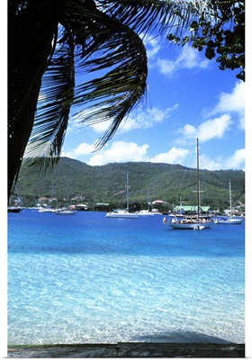 Harbor, palms, blue water at Port Elizabeth in Bequia, Grenadines