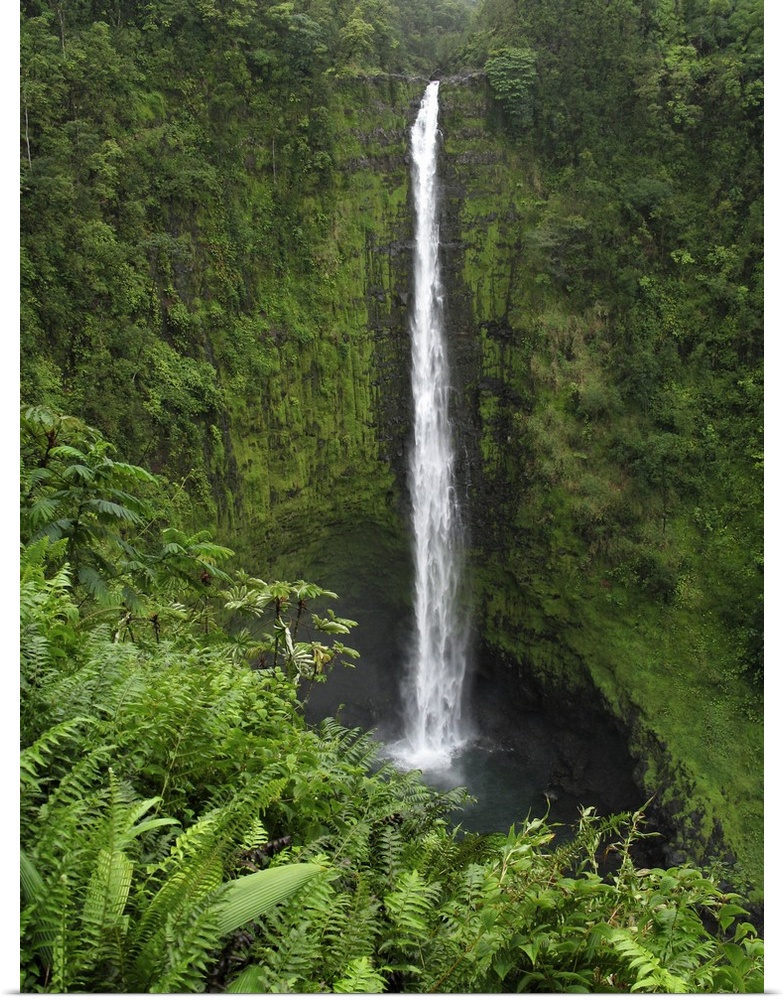 USA, Hawaii, Hilo. View of Akaka Falls.
