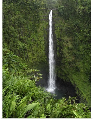 Hawaii, Hilo. View of Akaka Falls