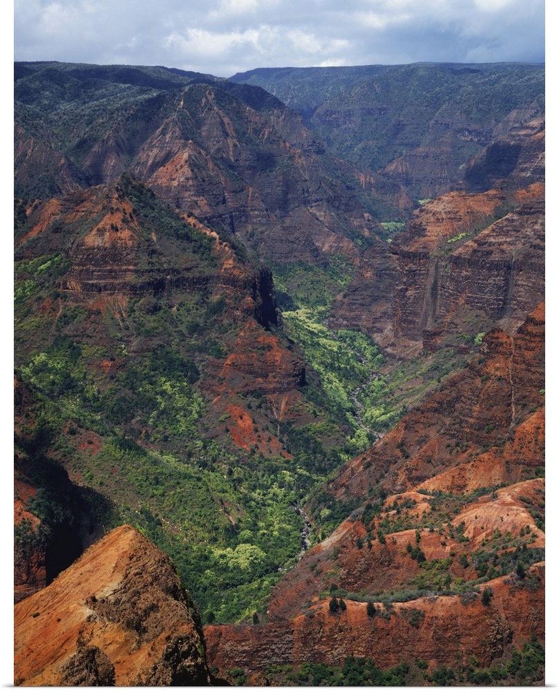 USA, Hawaii, Kauai. Waimea Canyon overlook.