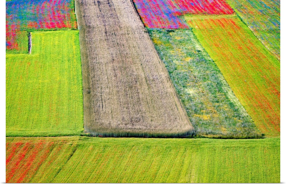 Italy, Castelluccio. Aerial of field with flower patterns. Credit: Jim Nilsen