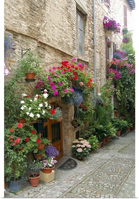 Italy, Umbria, Spello. Flowers adorn the narrow cobblestone streets