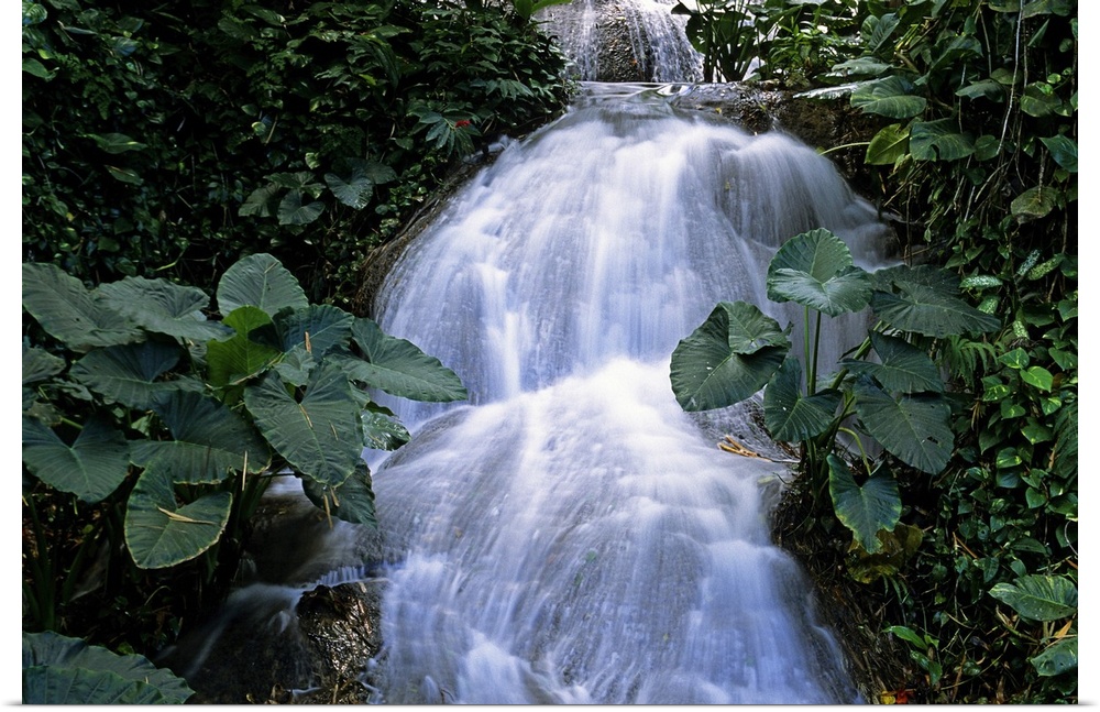 Jamaica. Ocho Rios. Shaw waterfalls.