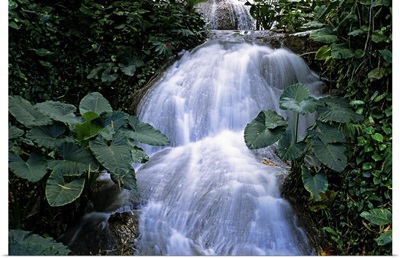 Jamaica, Ocho Rios, Shaw waterfalls