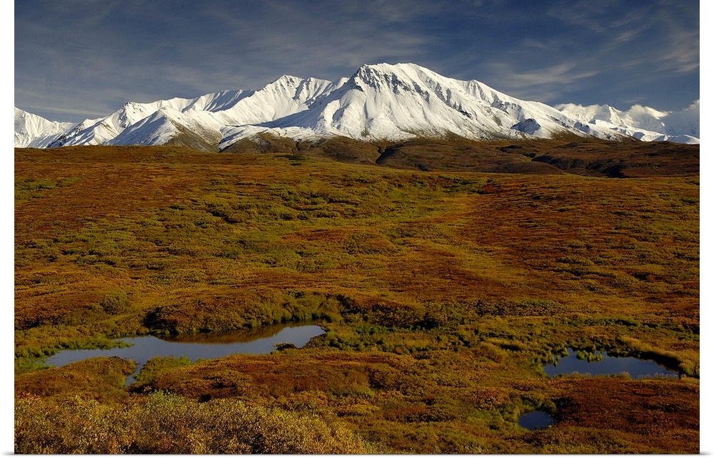 Kettle ponds and tundra in fall foilage front snow-capped peaks in the Alaska Range.