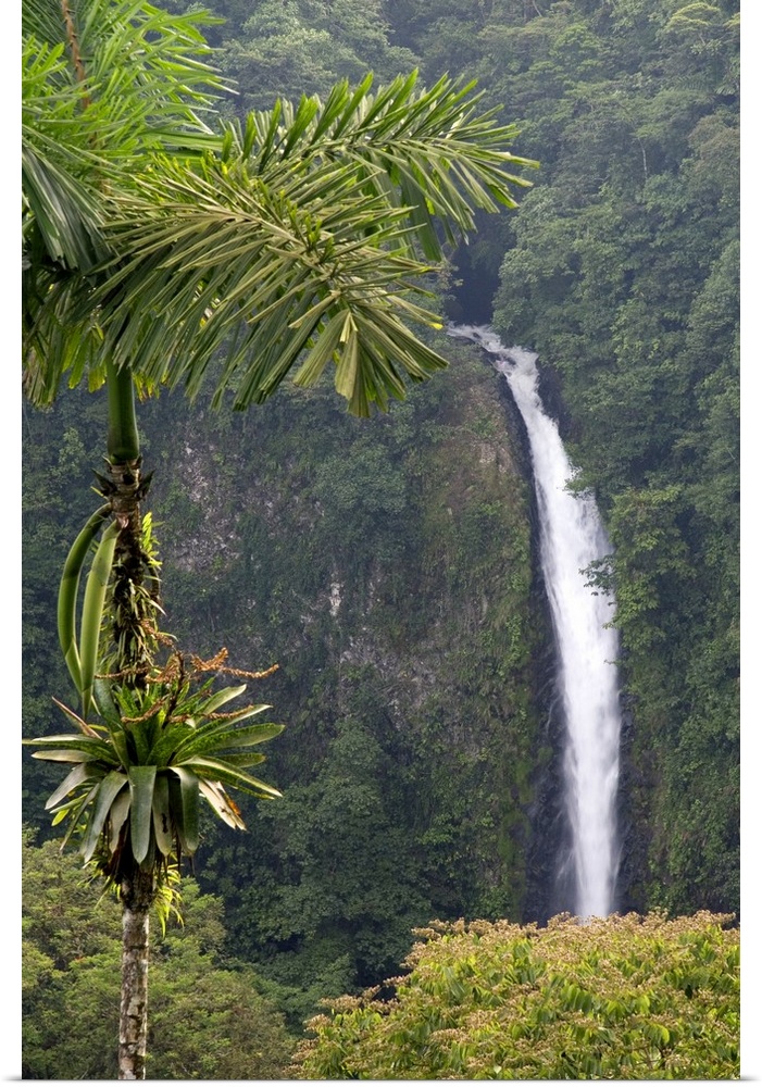 La Fortuna Waterfall in the Arenal Volcano National Park near La Fortuna, San Carlos, Costa Rica.