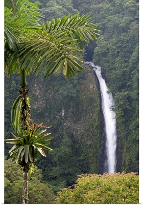 La Fortuna Waterfall in the Arenal Volcano National Park, San Carlos, Costa Rica