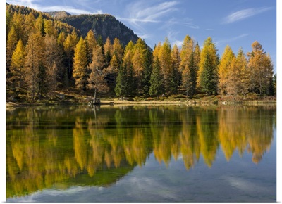 Lago San Pellegrino In Fall At Passo San Pellegrino In The Dolomites, Italy