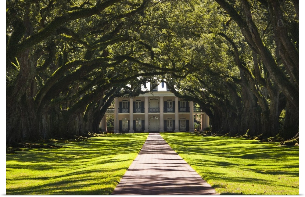 USA, Louisiana, Vacherie. Oak Alley Plantation, antibellum mansion.