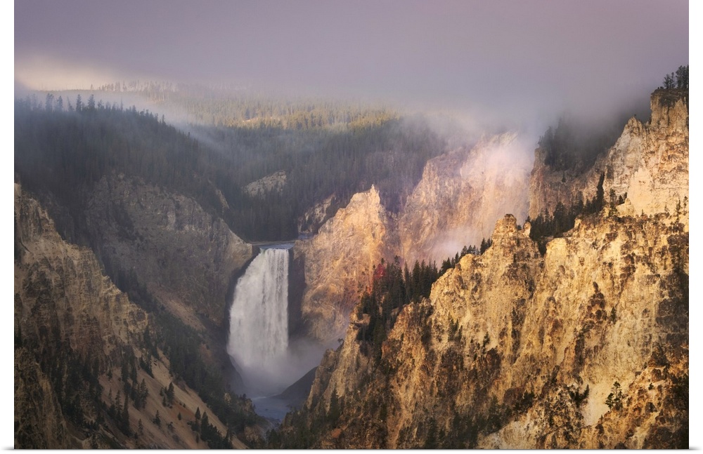 Lower Falls at sunrise from Artist Point, Yellowstone National Park, Wyoming. United States, Wyoming.