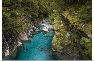 Makarora, New Zealand, The Blue Pools Of Makarora Offer Enticing Blue Waters To Swim In