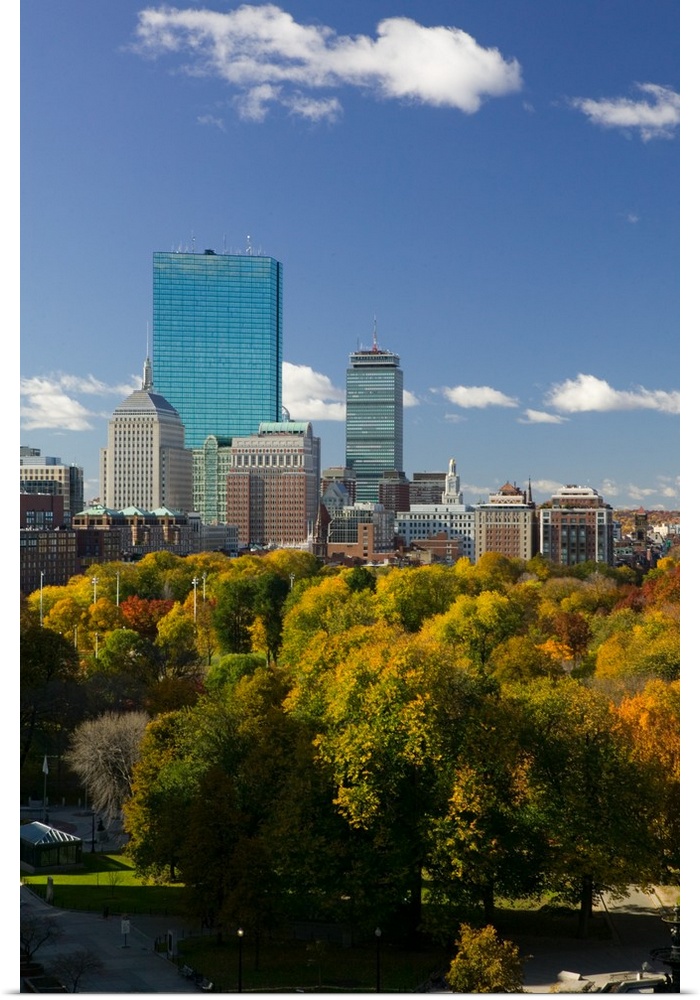 USA-Massachusetts-Boston:.Office Buildings of the Back Bay and Boston Common/ Autumn.