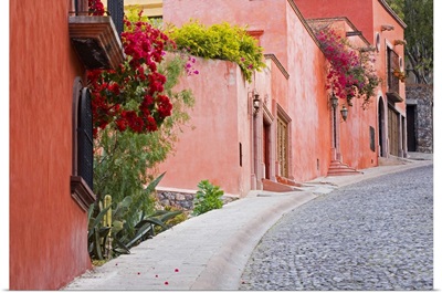 Mexico, Guanajuato state, San Miguel de Allende, colorful neighborhood